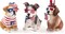 4th of July Puppy Decorations, Patriotic Dog Figurines Set (3 Pack), Memorial Day & Independence Day USA 250th Anniversary Stars and Stripes Dog Statue Tabletop Decor, Labor Day Rustic Americana Home Holiday Decorations